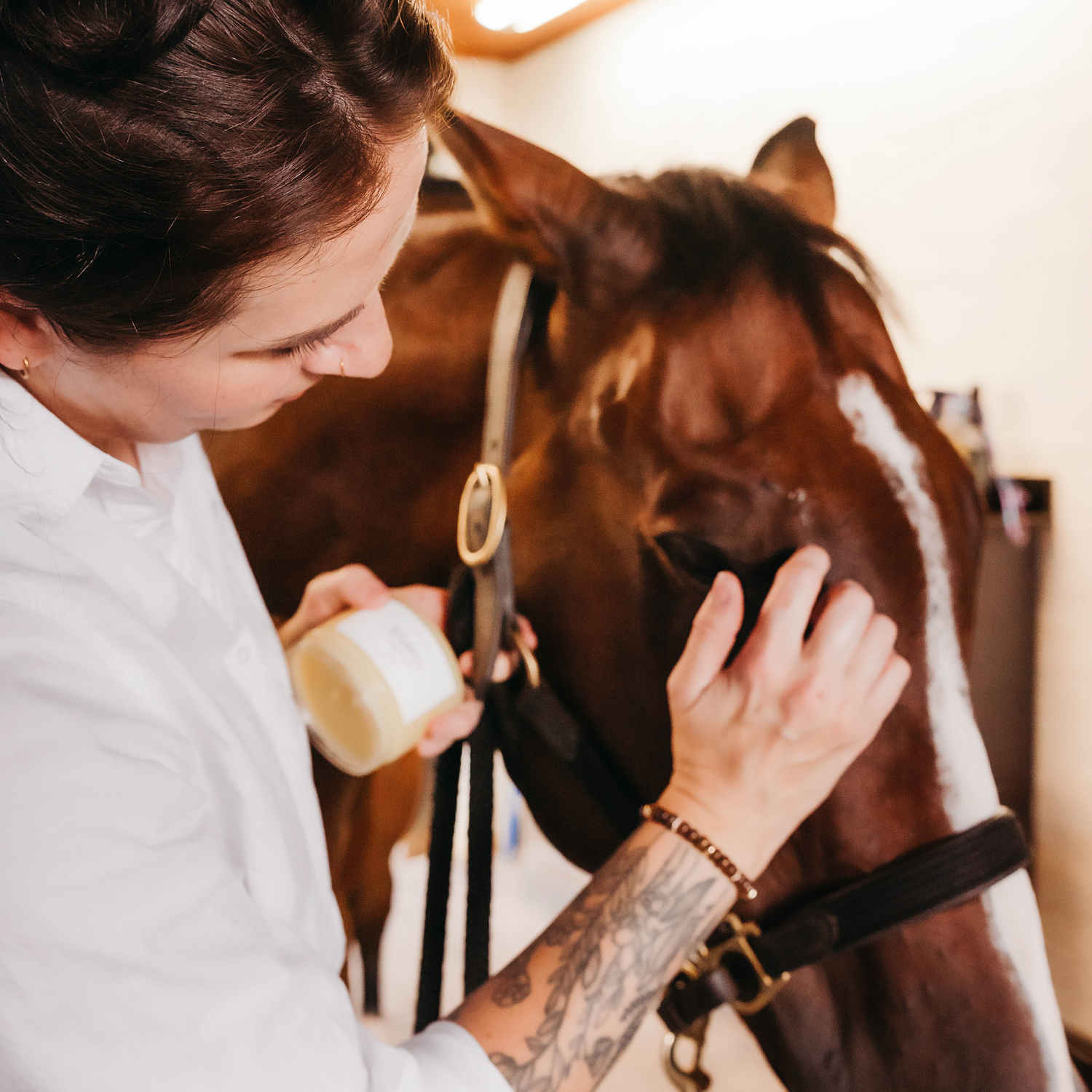 Applying EquiStride THRIVE Conditioning Balm to a horse