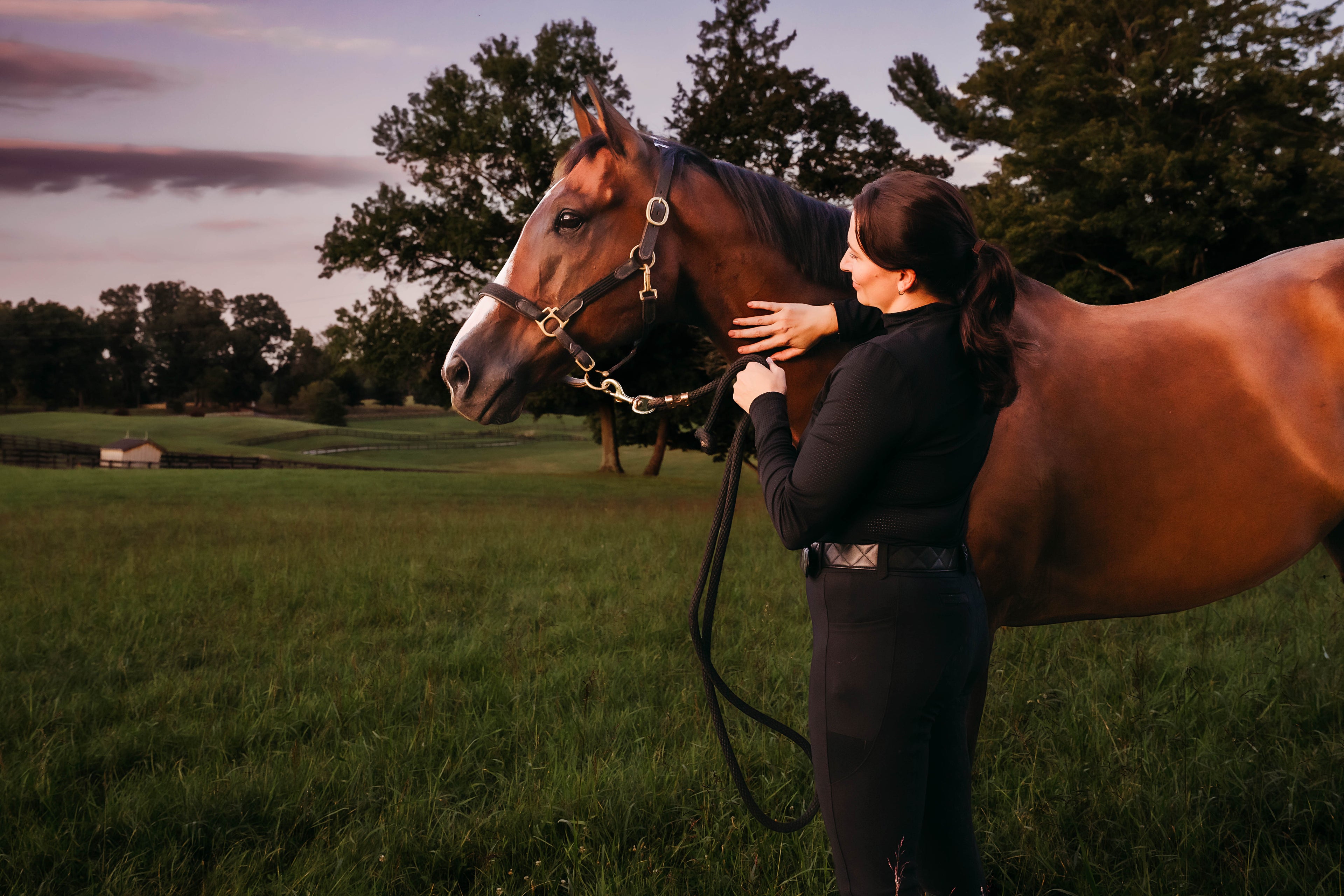 Equestrian with horse in a field